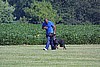 Dog Training